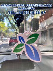 AROMATIZANTES-PARA-AUTO-FLOR-1