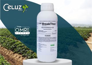BREAKTHRU