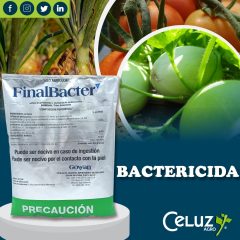 FINAL-BACTER
