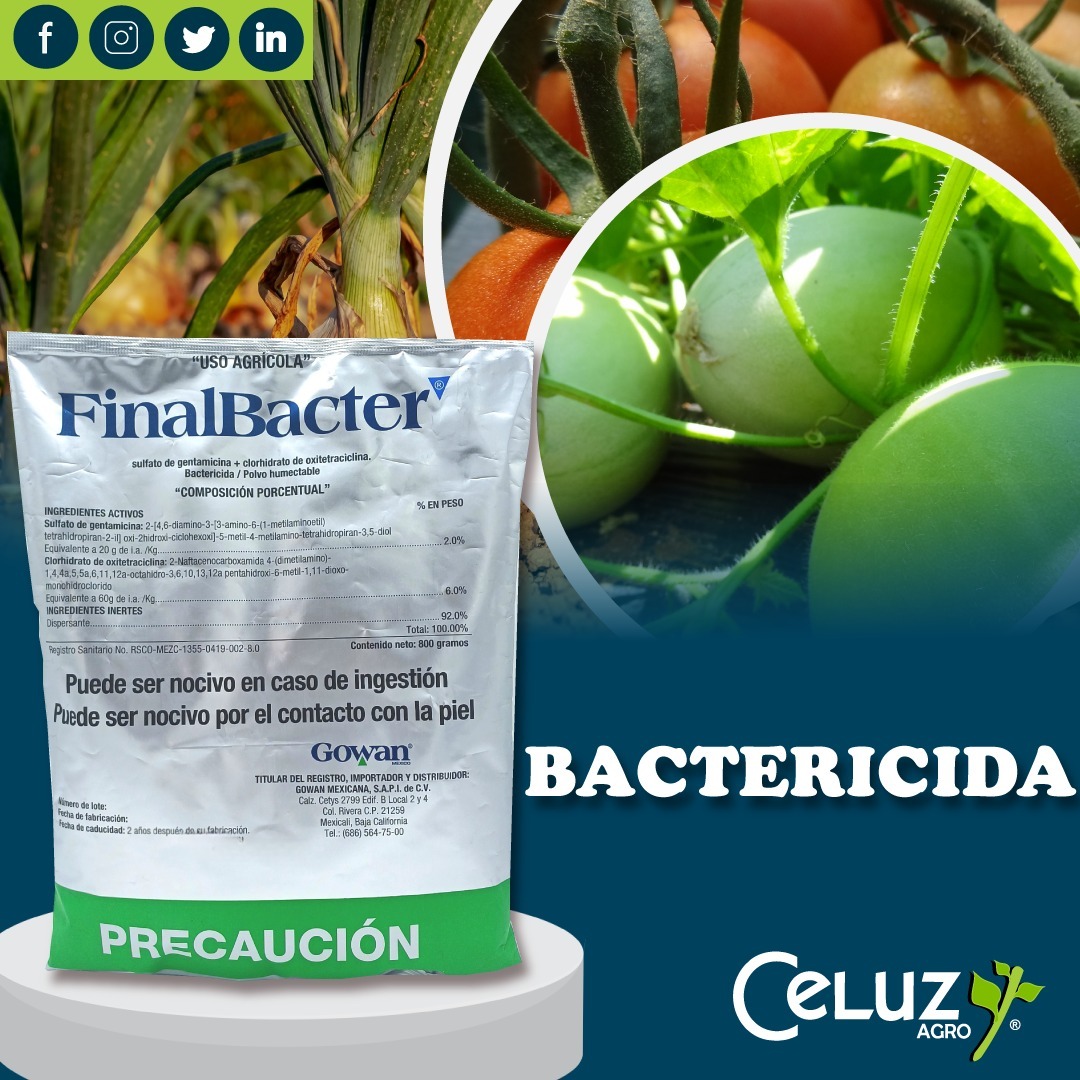 FINAL BACTER (producto para el campo)