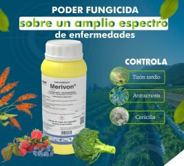 MERIVON