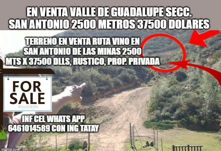 TERRENO EN VENTA EN VALLE DE GUADALUPE SECCION SAN ANTONIO 2500 MTS EN LOMA CON VISTA PROP. PRIVADA