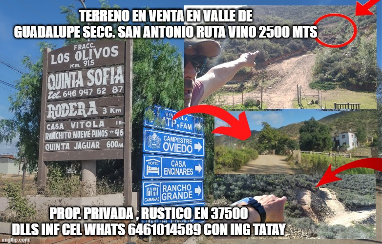 TERRENO EN VENTA EN VALLE DE GUADALUPE SECCION SAN ANTONIO 2500 MTS EN LOMA CON VISTA PROP. PRIVADA