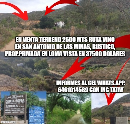 TERRENO EN VENTA EN VALLE DE GUADALUPE SECCION SAN ANTONIO 2500 MTS EN LOMA CON VISTA PROP. PRIVADA
