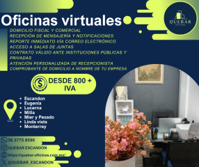 publicidad-1.1